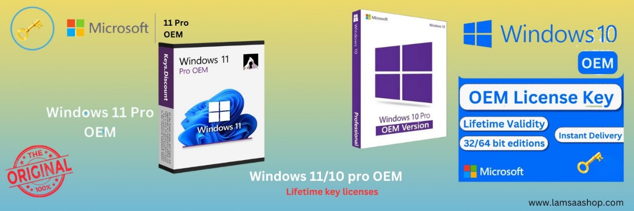 windows 11 pro OEM